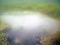 Druckwasser